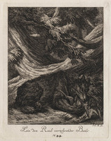 KG 01075
          <br/>
          Entwurf einiger Thiere. Dritter Theil. (18 bladen)
          <br/>
          <em>Ridinger, Johann Elias (1698-1767)</em>